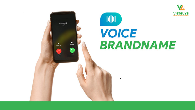 voice-brandname-la-gi